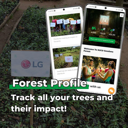 Every Forest Starts From a Single Seed - Plants 100 Trees-4