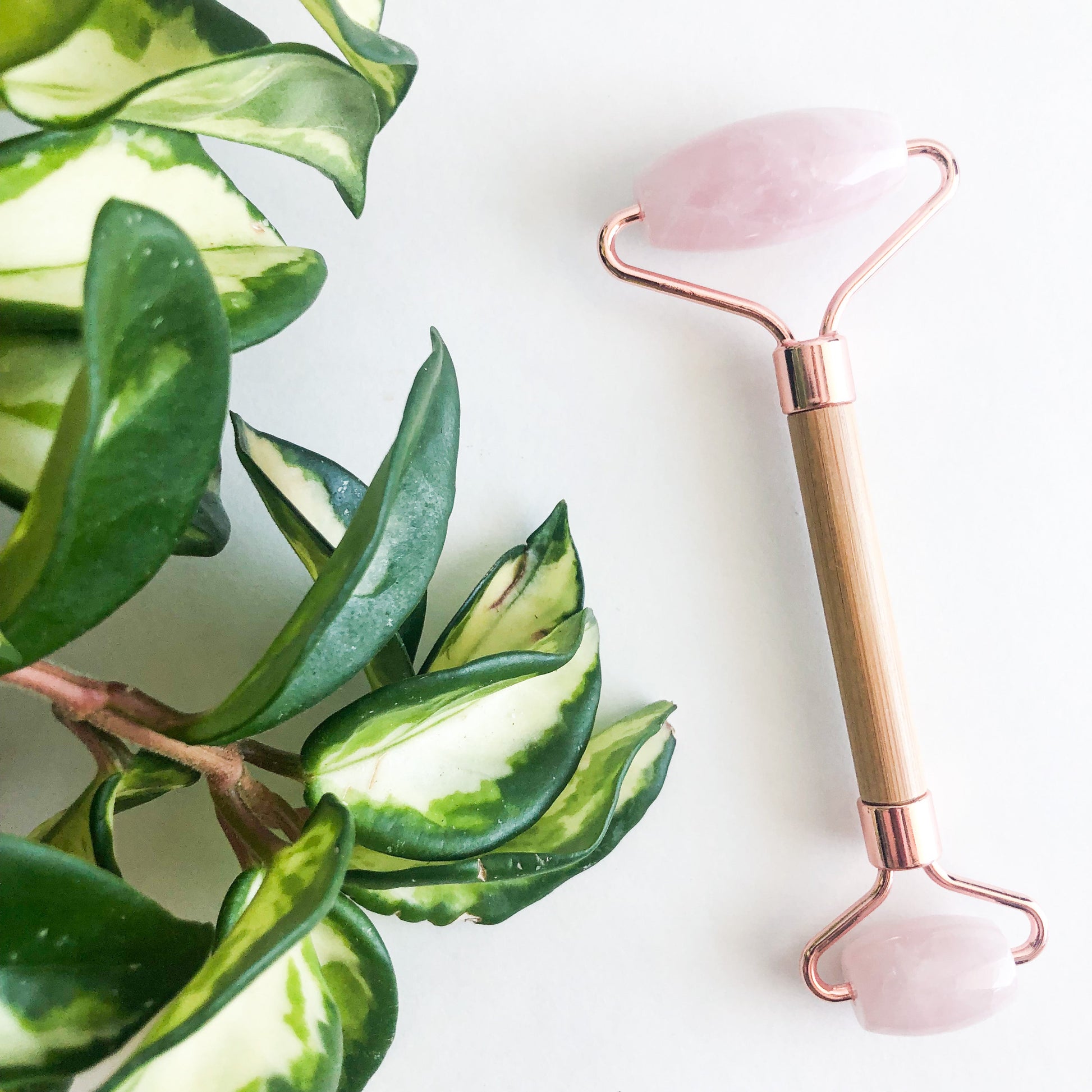 Bamboo Facial Rollers-1