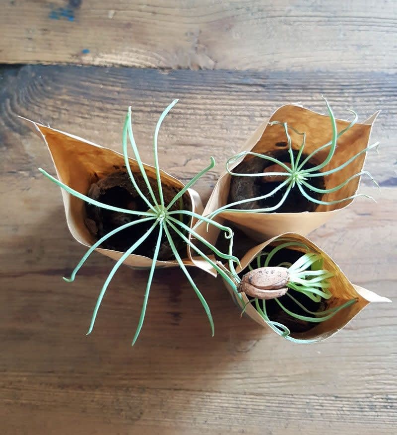 It's Going to be OK-4