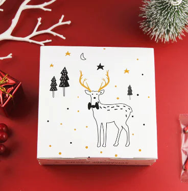 Gift Box Packaging for Christmas