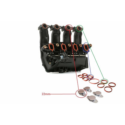 Clothes Dye Celly KIDSBOARDLB-9