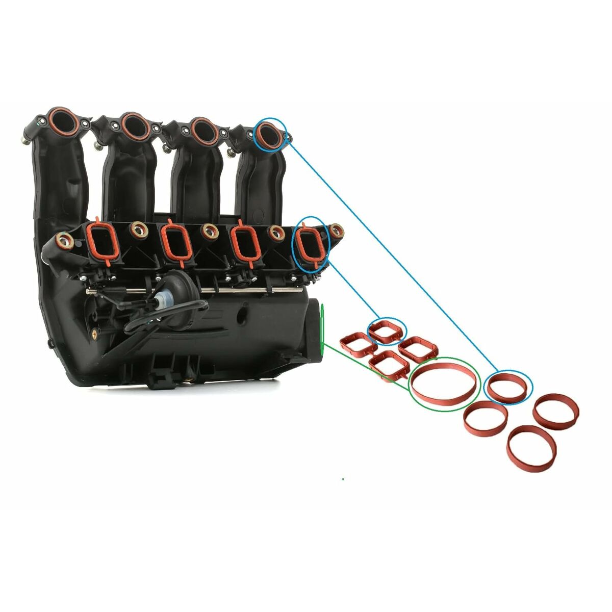 Clothes Dye Celly KIDSBOARDLB-2