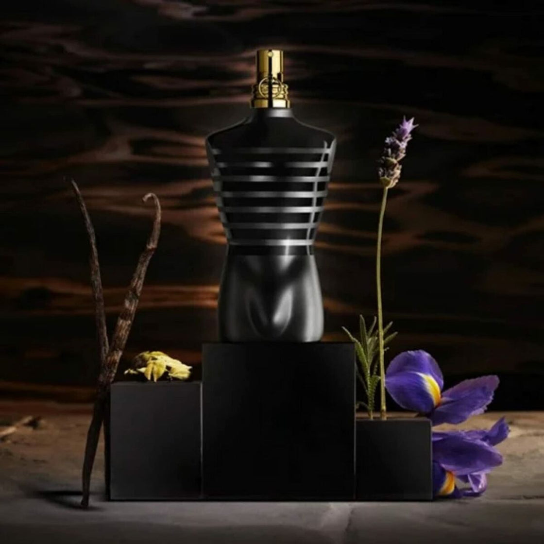 Men's Perfume Jean Paul Gaultier Le Male Le Parfum EDP 75 ml-5