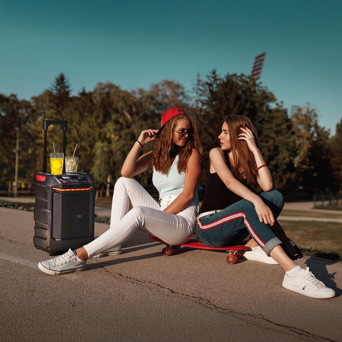 Portable Bluetooth Speakers NGS WILDBASH-2