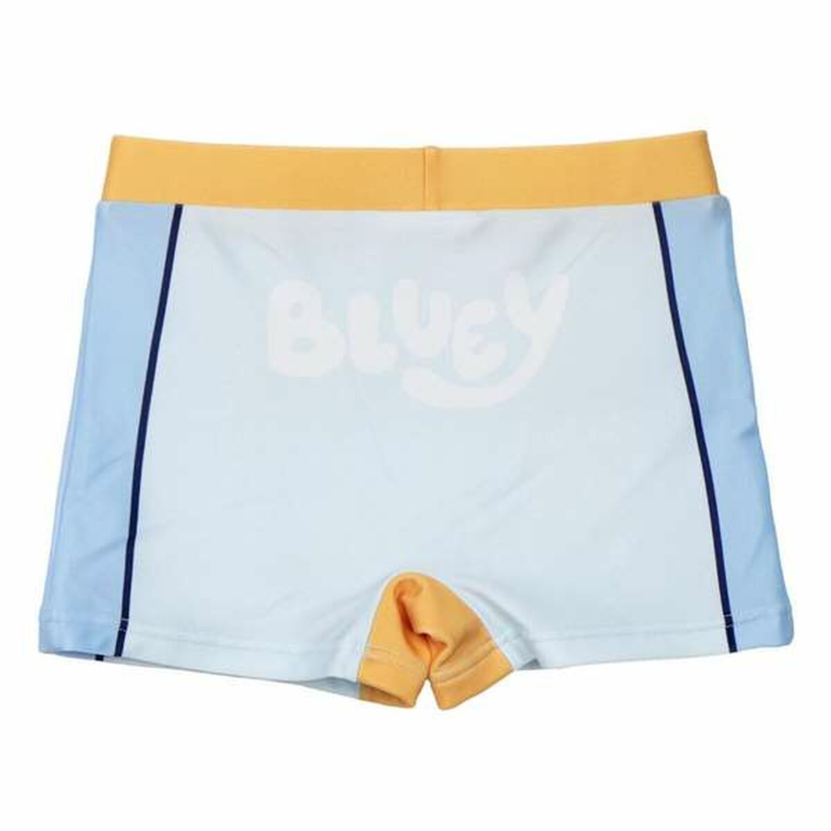 Boys Swim Shorts Bluey-3