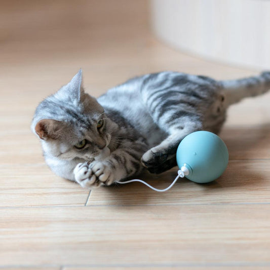 Interactive Whisker Wonder Electric Cat Toy-0