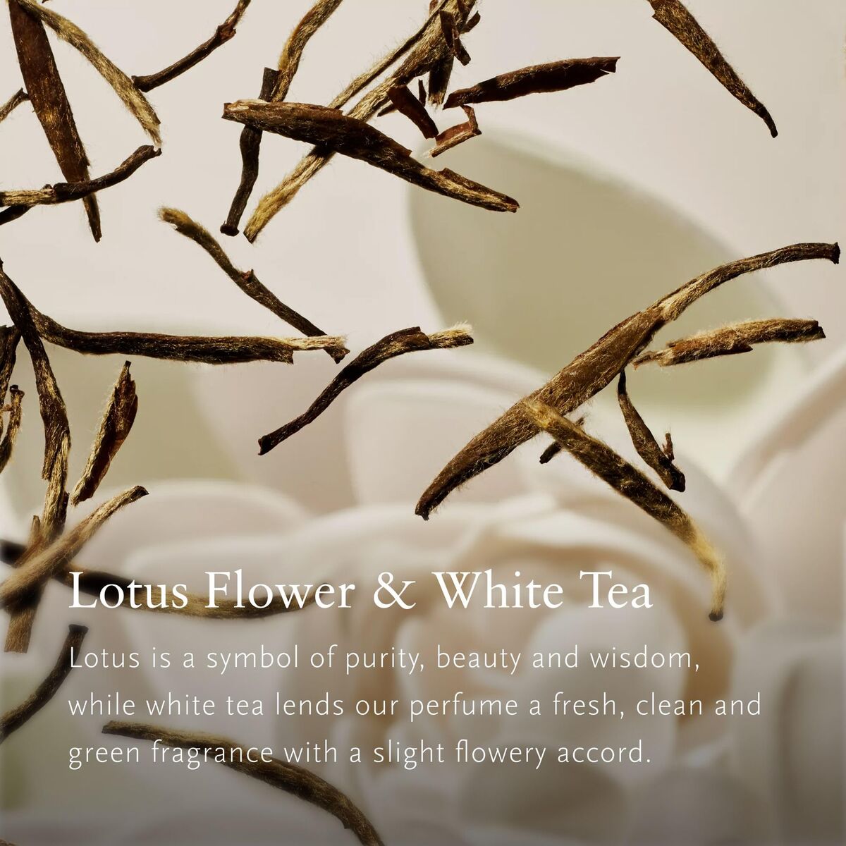 Body Lotion Rituals THE RITUAL OF KARMA 5 Pieces-3