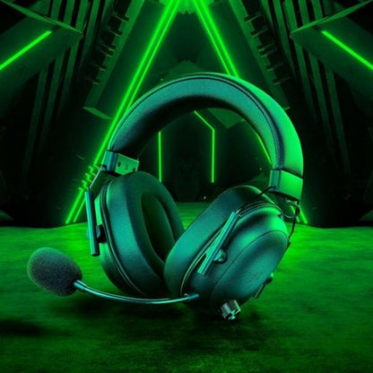 Headphones with Microphone Razer RZ04-04960100-R3M1-1