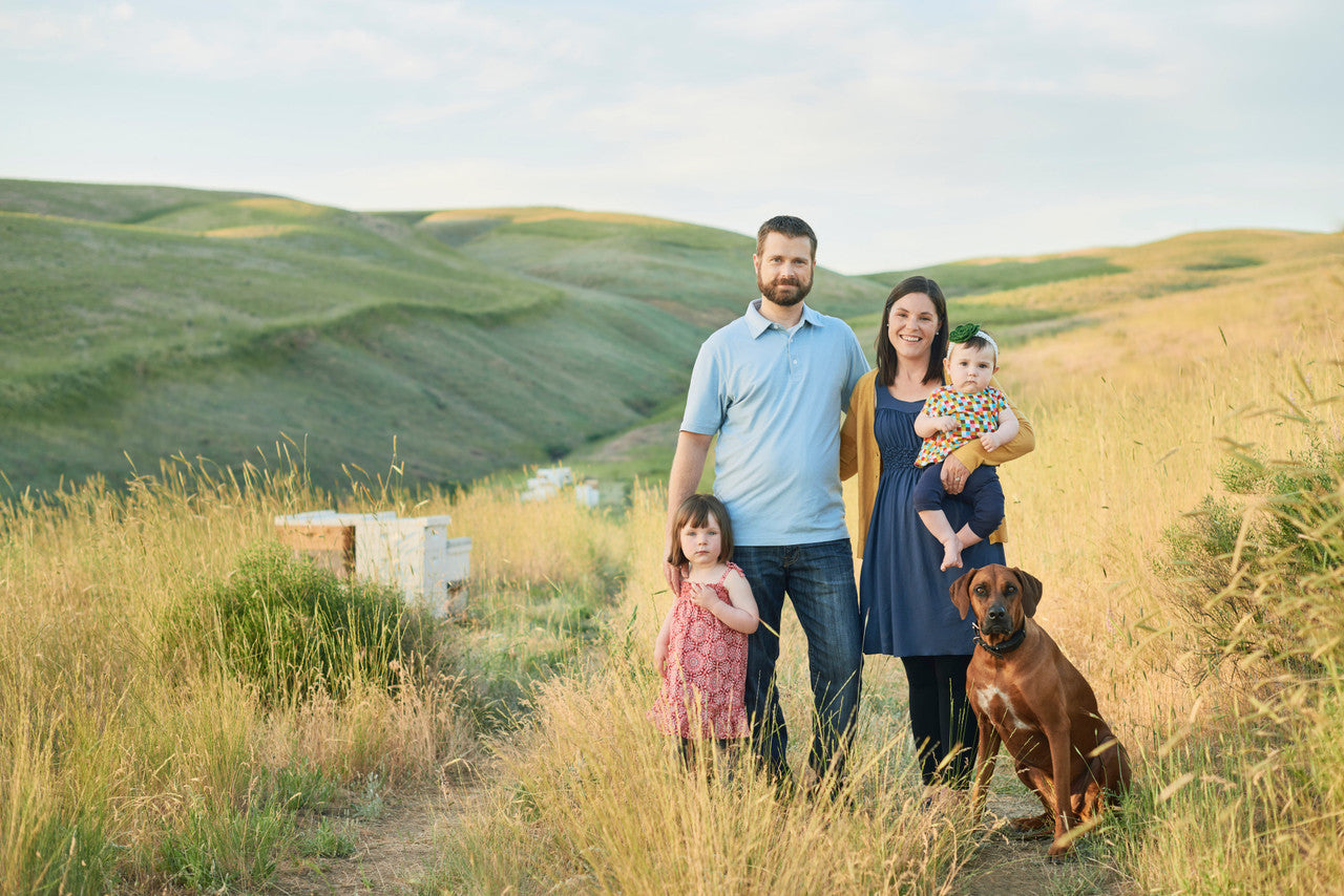 HHNY WILDFLOWER BEE PLN ( 12 X 7.8 OZ   )-1