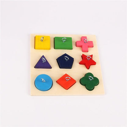 9-Piece Colorful Wooden Block Parrot Training Toy-2