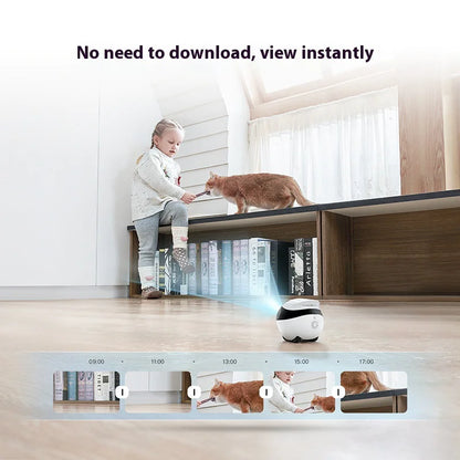 Wireless Mobile Camera