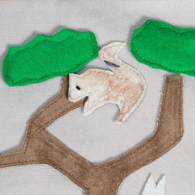 Forest Habitat Storyboard-3