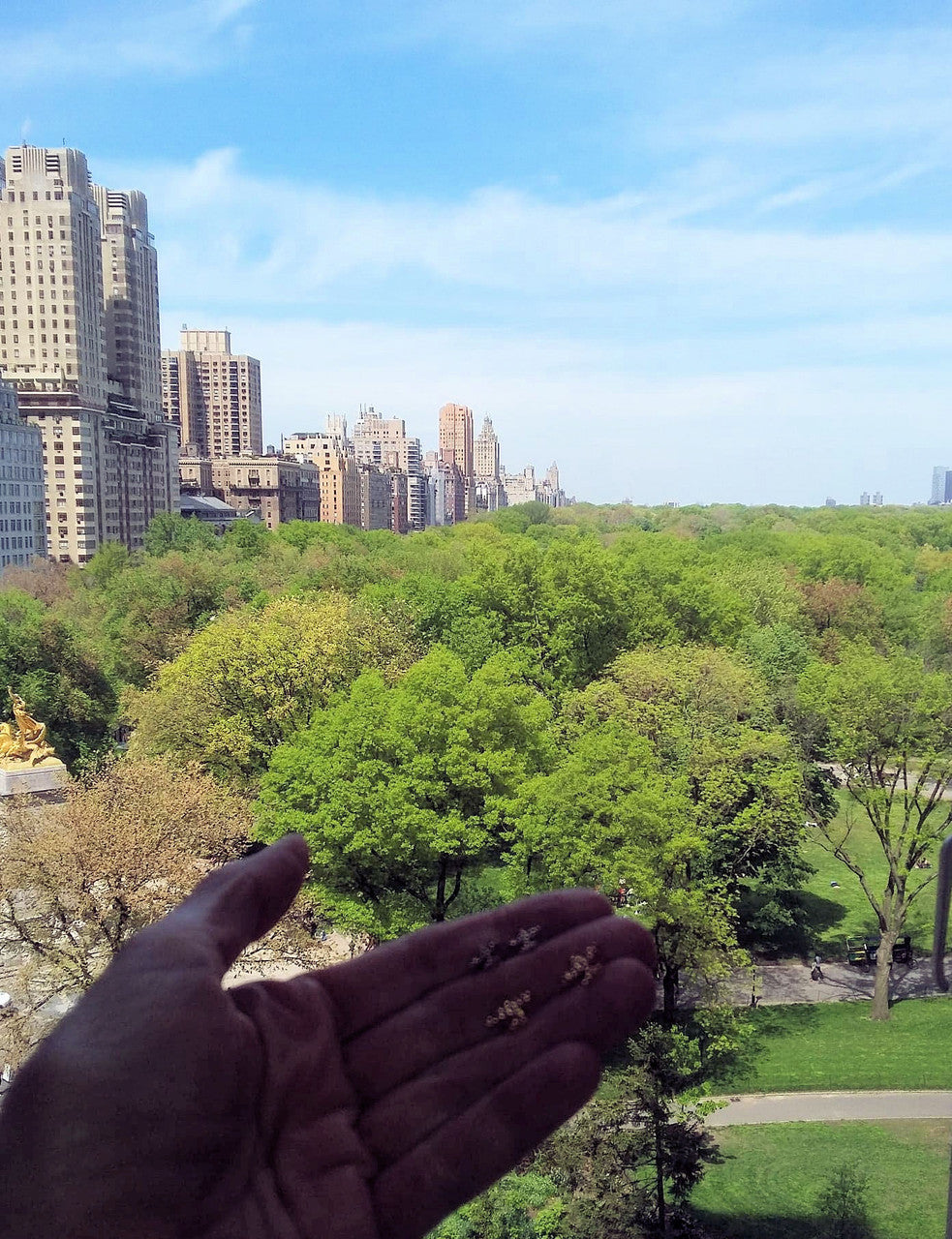 Custom Design: Airplane Stud Earrings- 18K Gold: 12mm-7