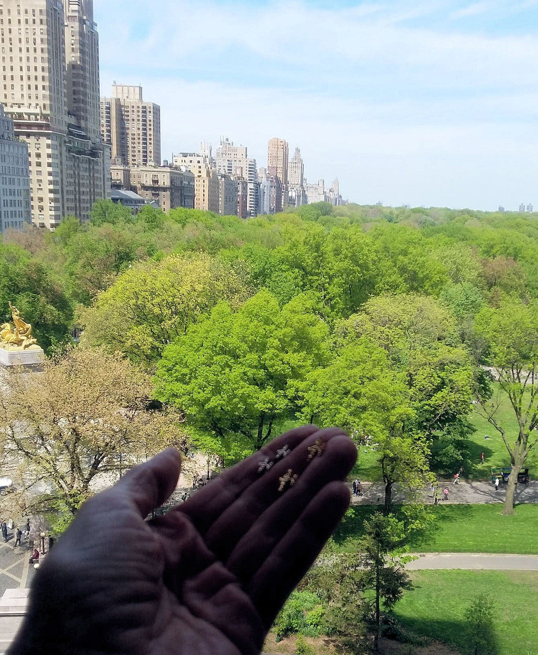 Custom Design: Airplane Stud Earrings- 18K Gold: 12mm-11