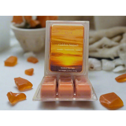 Amber and Musk Scented Wax Melts-1