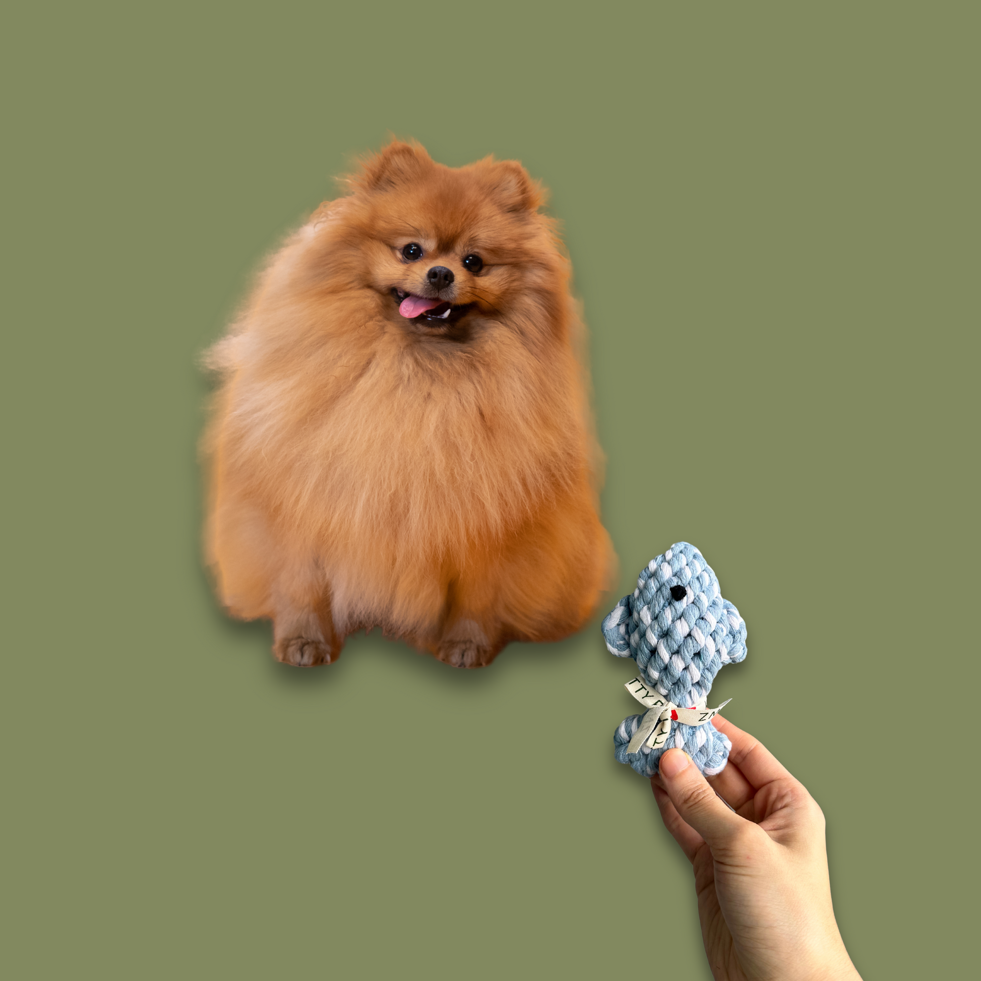 April the Happy Fish Pet Rope Toys-2