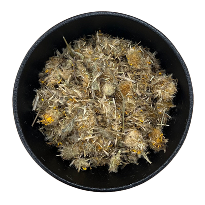 Arnica Flowers Whole (Heteroteca Inuloides)-2