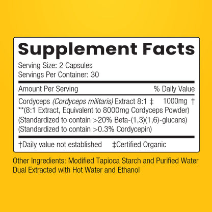 Cordyceps Mushroom 8:1-1