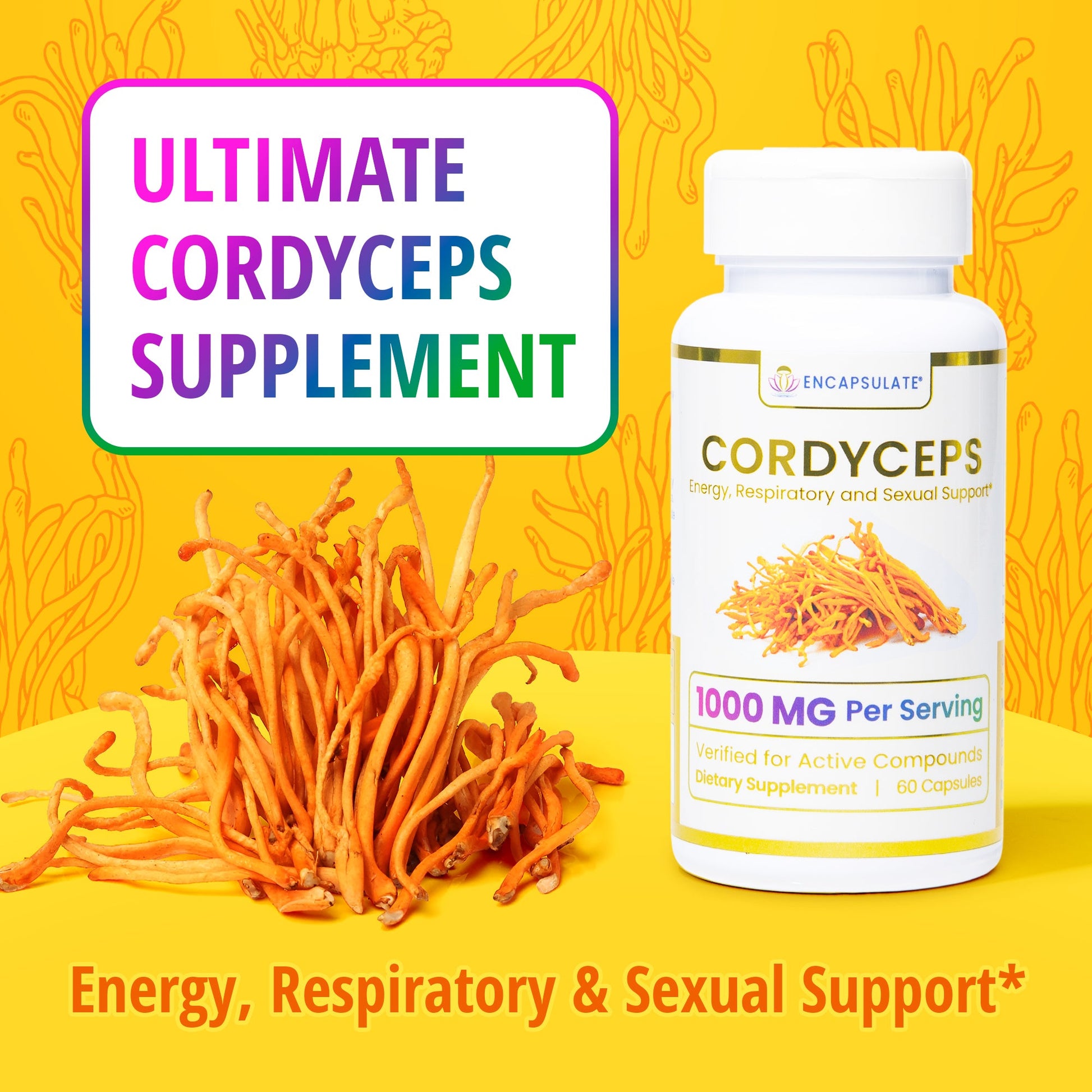 Cordyceps Mushroom 1:1-2