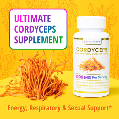 Cordyceps Mushroom 1:1-2