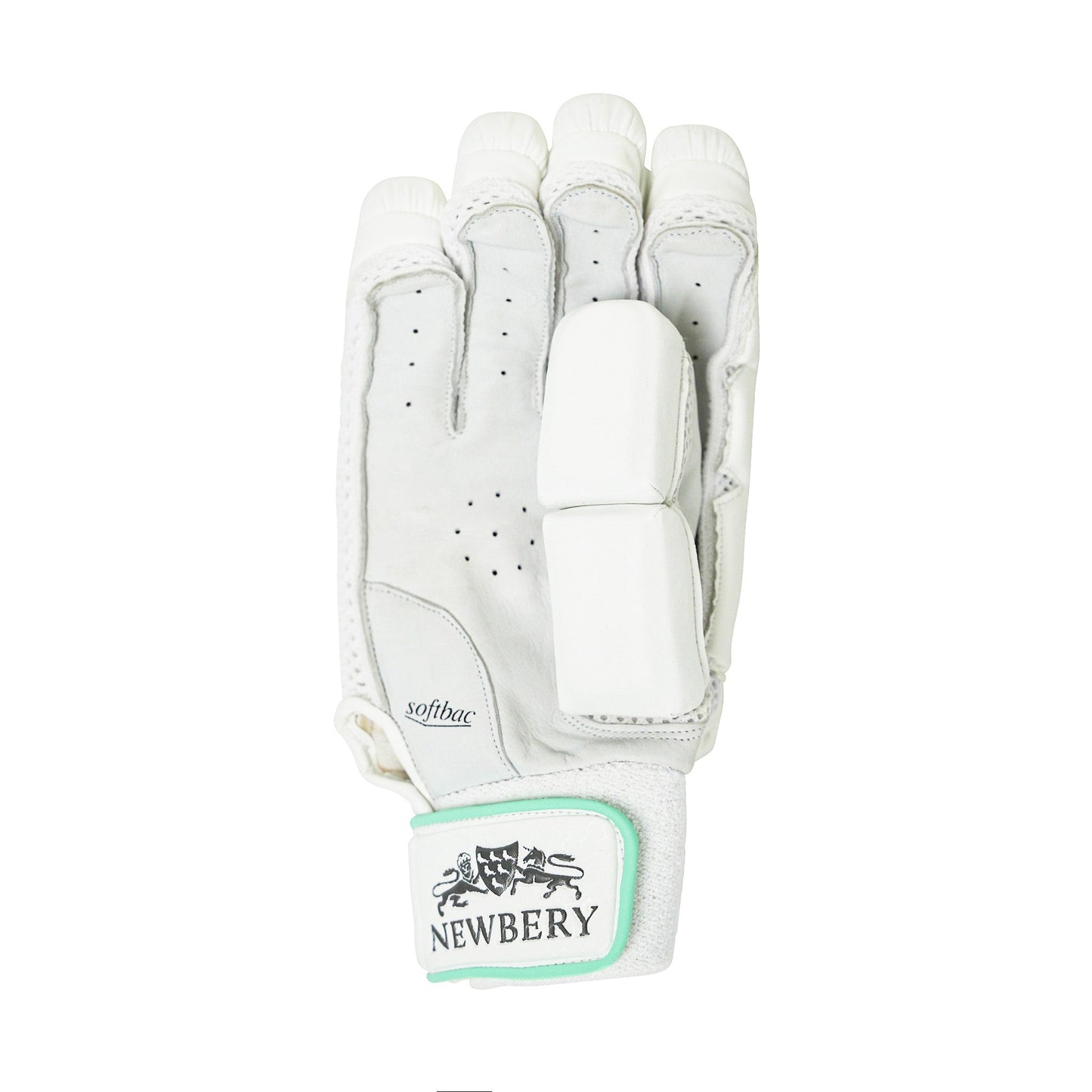 Kudos Cricket Batting Gloves-1