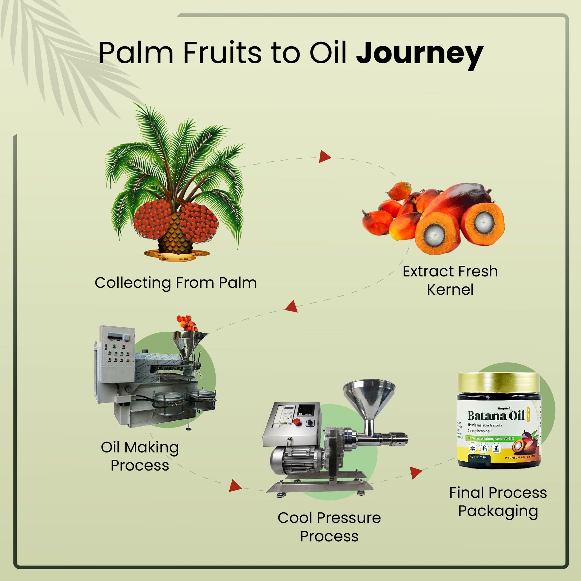 BeepWell Cold-Pressed Batana Oil – 100% Natural, Raw & Unrefined – Pack of 2-3