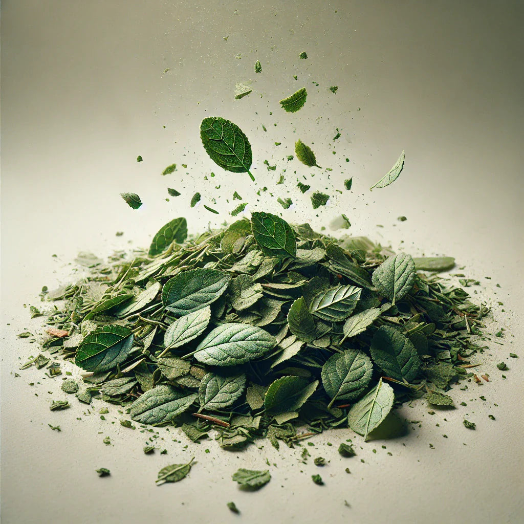 Bilberry Leaf Cut (Vaccinium Myrtillus)-1