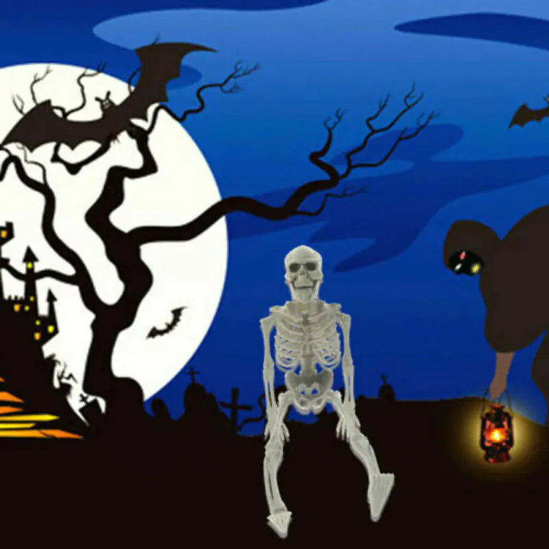 Realistic Skeleton Model for Halloween Decoration