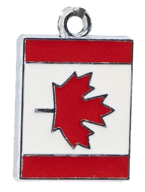 Flag and Patriotic Charms-2