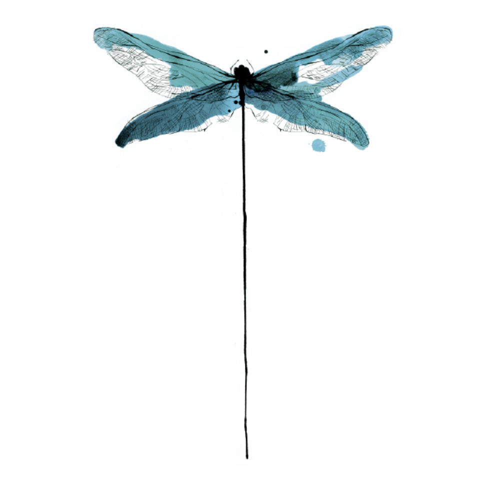DRAGONFLY (Pack de 2)-1