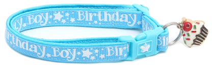 Birthday Boy Breakaway Cat Collar-15