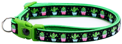 Cute but Prickly Breakaway Cat Collar-44