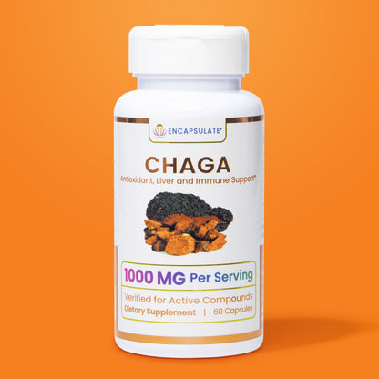 Chaga Mushroom 1:1-0