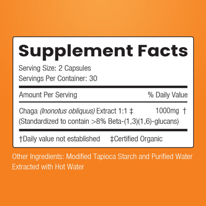 Chaga Mushroom 1:1-1