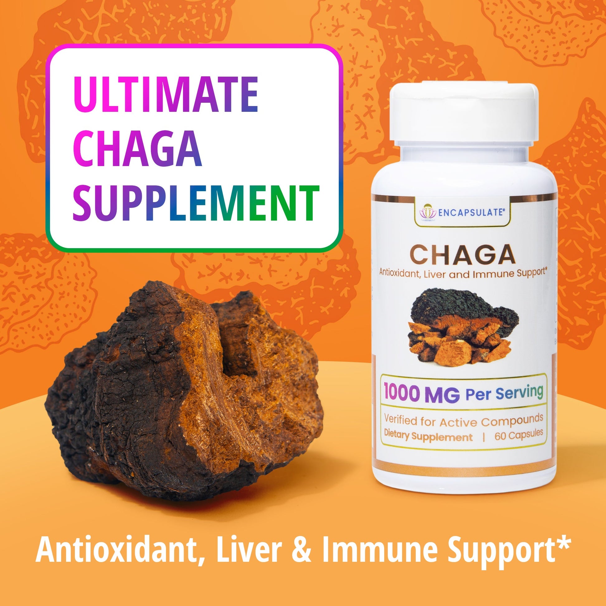 Chaga Mushroom 1:1-2
