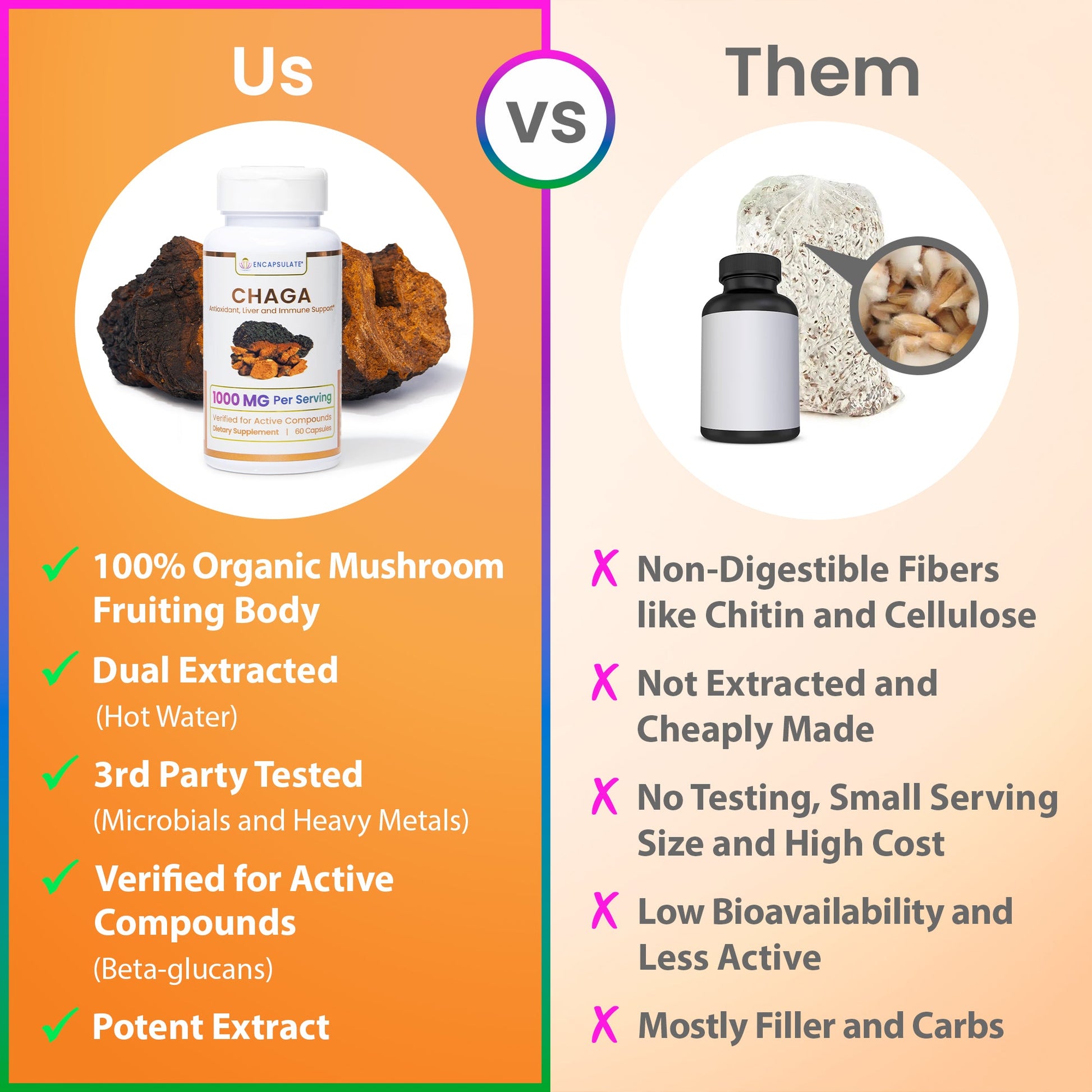 Chaga Mushroom 1:1-3