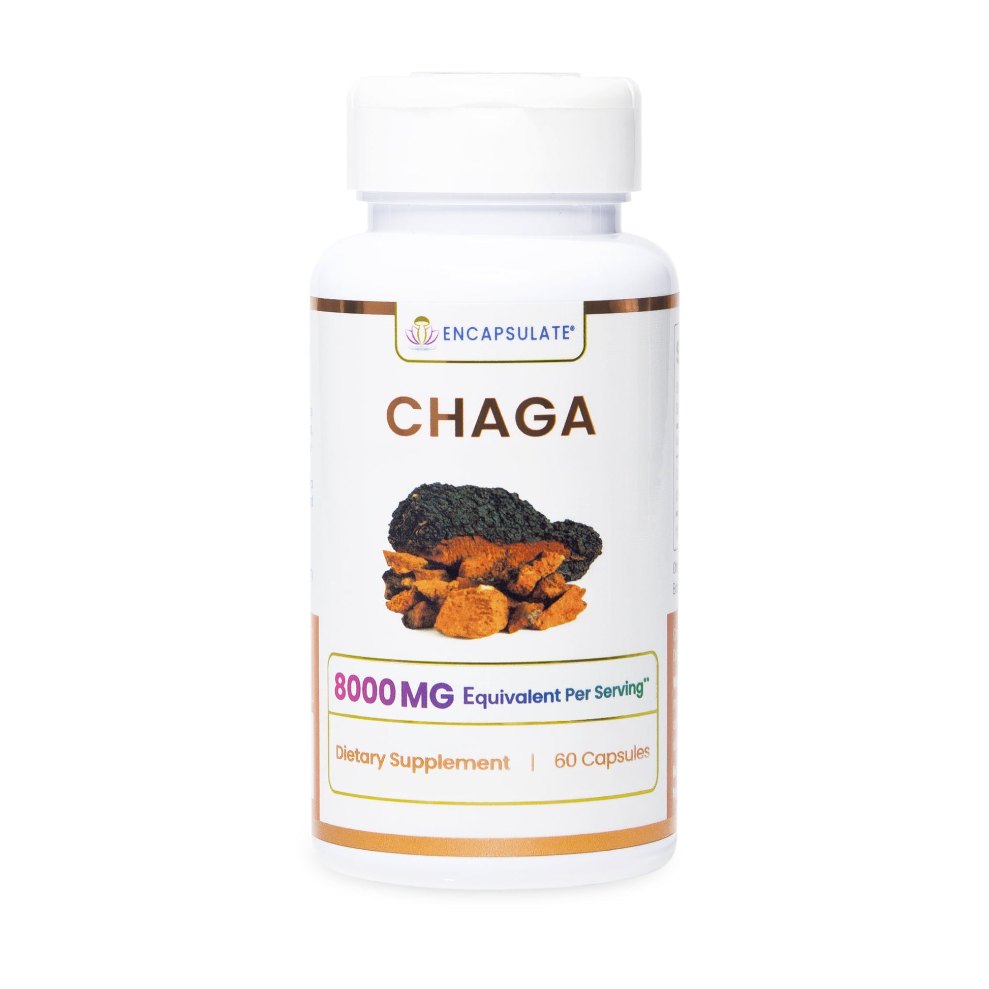 Encapsulate Chaga Mushroom 1:1-0