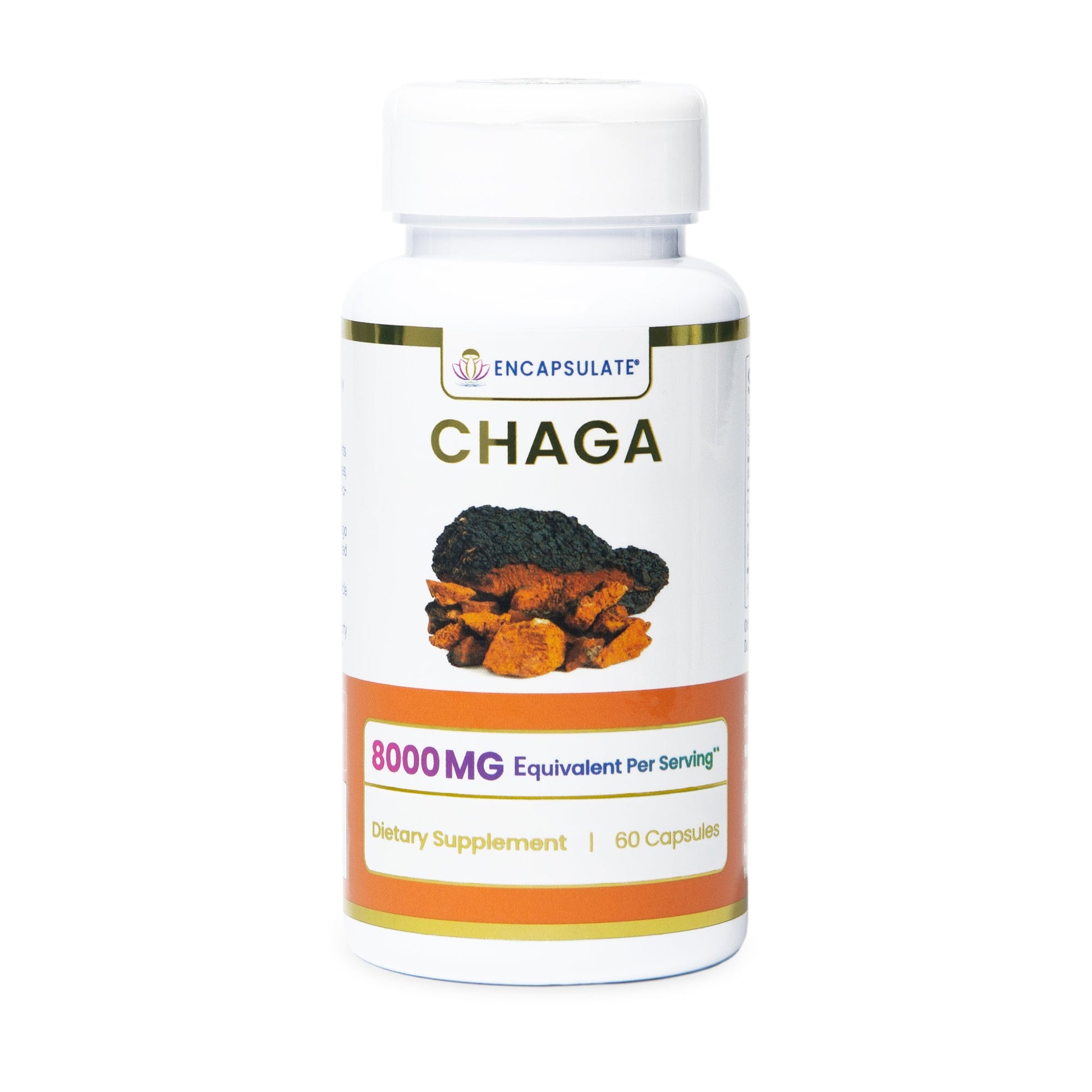 Encapsulate Chaga Mushroom 8:1-0