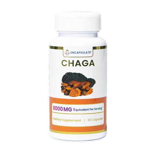Encapsulate Chaga Mushroom 8:1-0