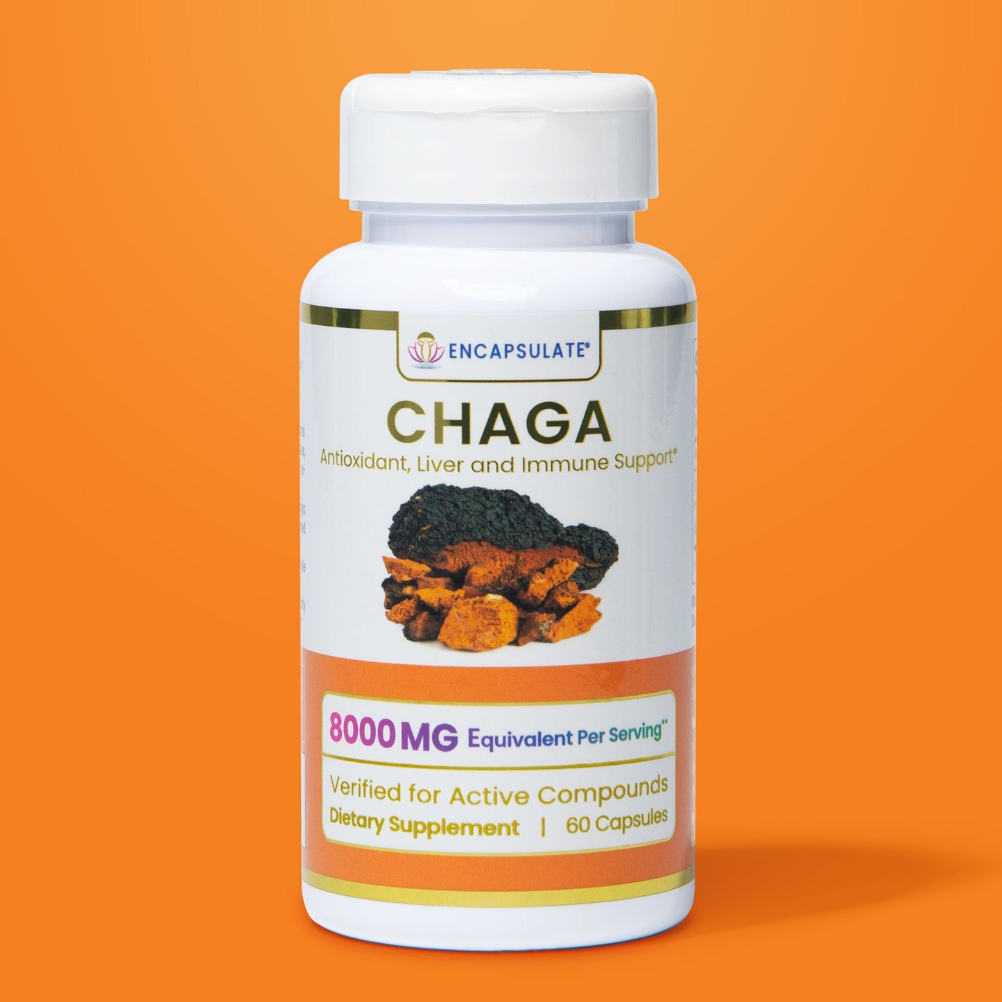 Chaga Mushroom 8:1-0