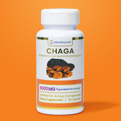 Chaga Mushroom 8:1-0