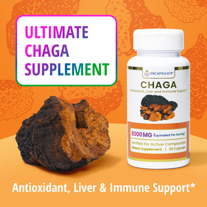 Chaga Mushroom 8:1-2