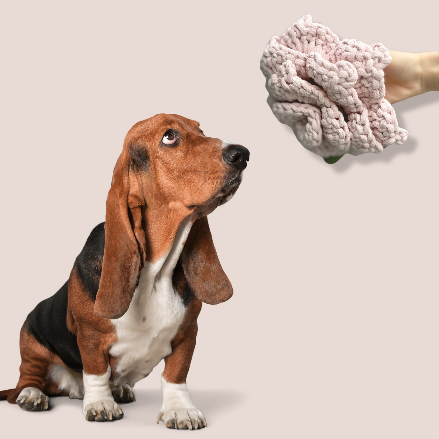 Cherry Blossom: Snuffle Flower Dog Toy-2