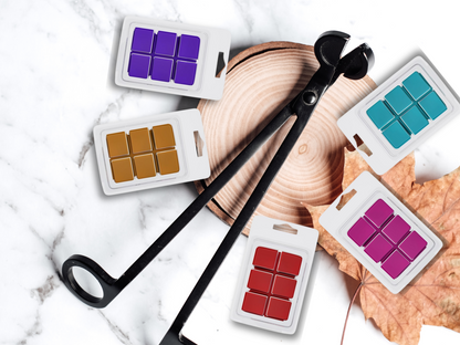 clamshell Wax Melts - Fall & Winter  – Cozy, Woodsy & Spiced Scents for the Cooler Seasons-1