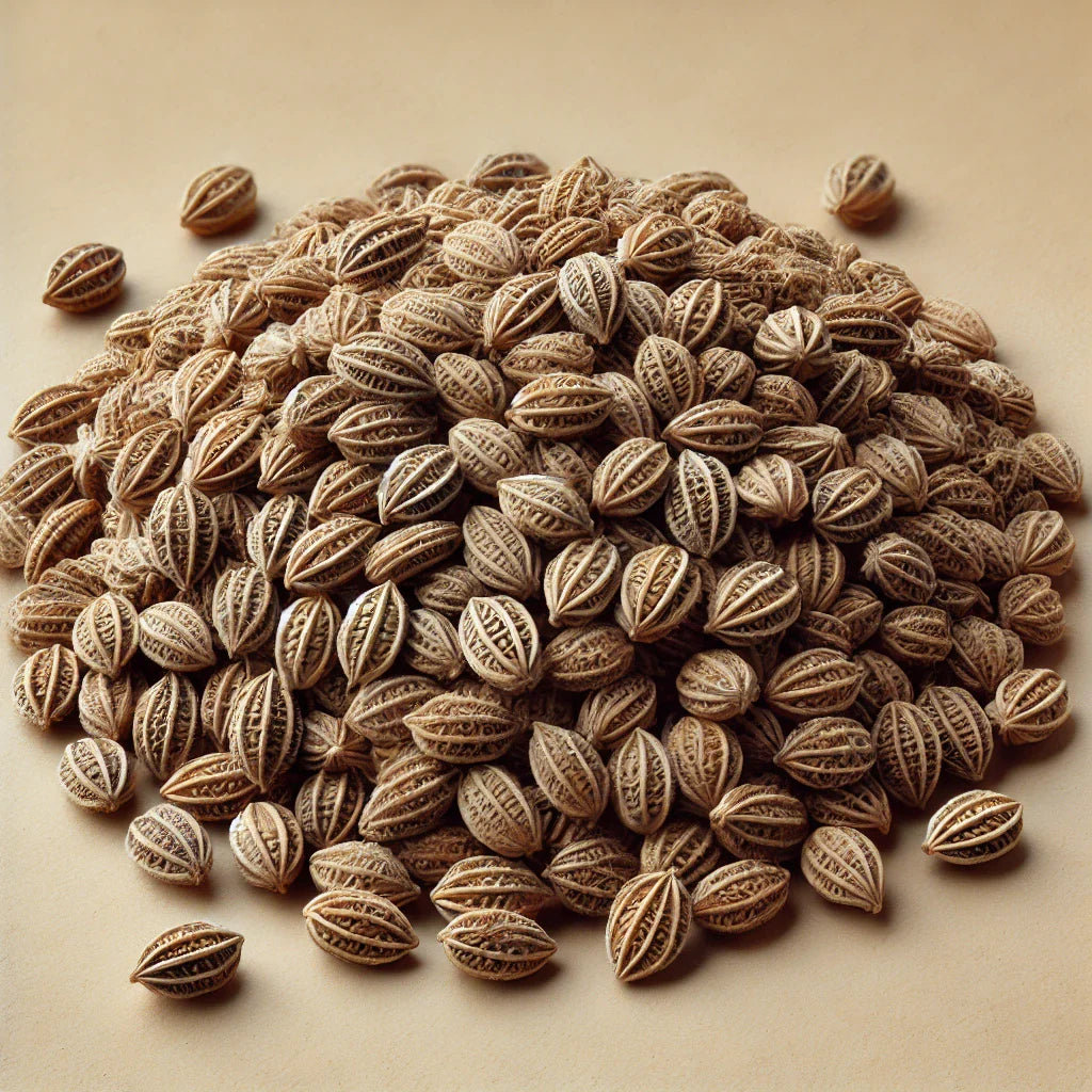 Cnidium Seed Whole (Cnidium Monnieri)-1