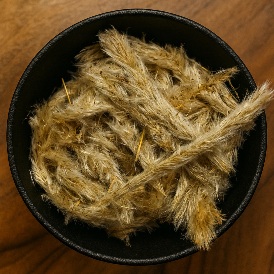 Cogon Grass Flower Whole (Imperata Cylindrica)-0