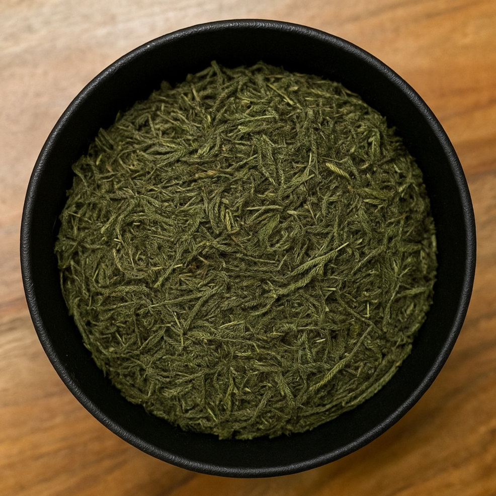 Common Clubmoss Cut (Lycopodium Japonica)-0