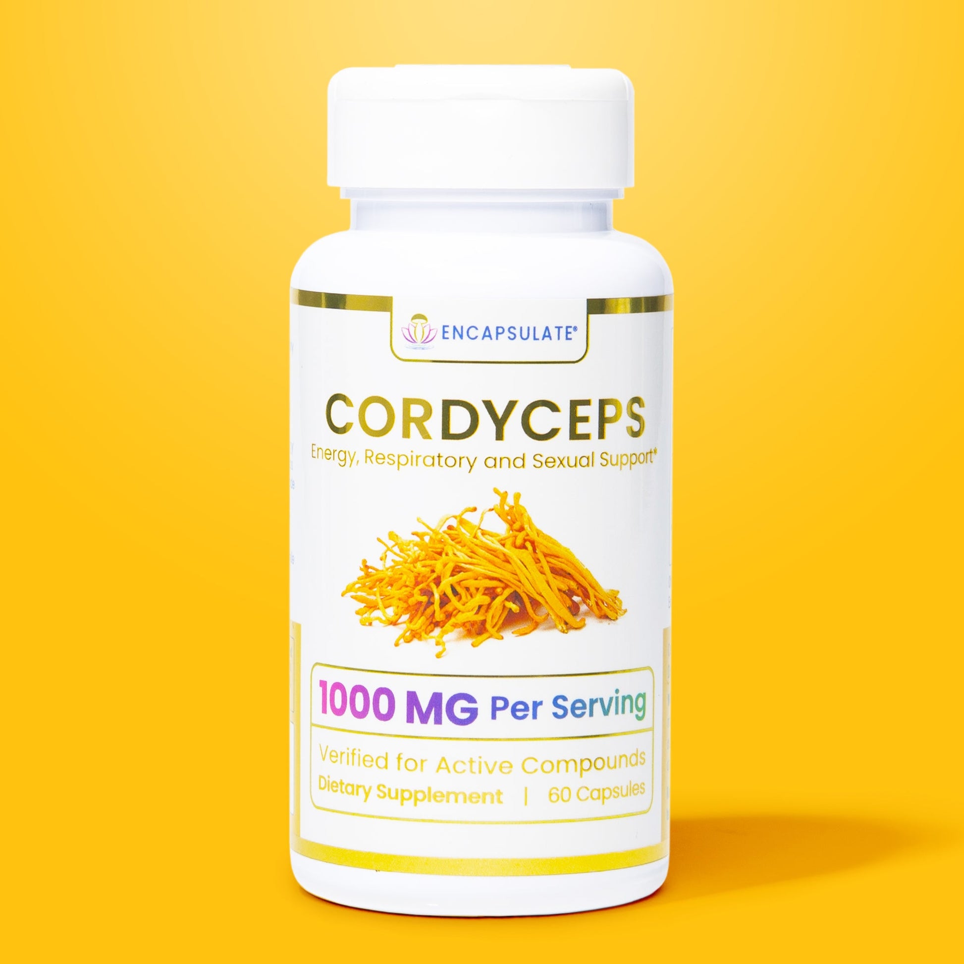 Cordyceps Mushroom 1:1-0