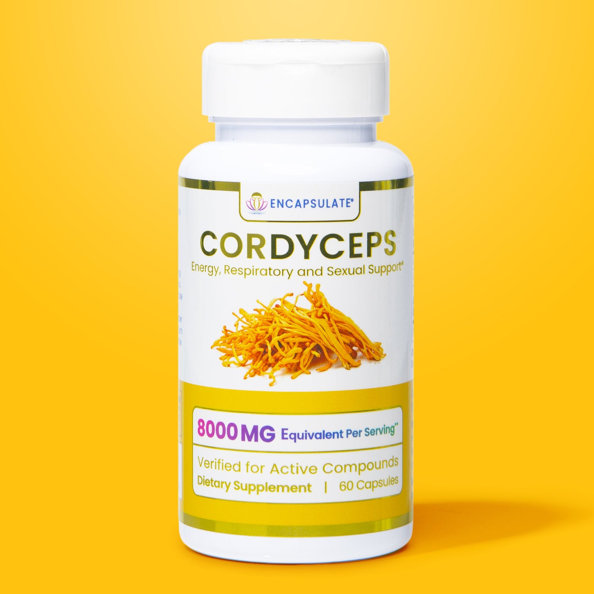 Cordyceps Mushroom 8:1-0