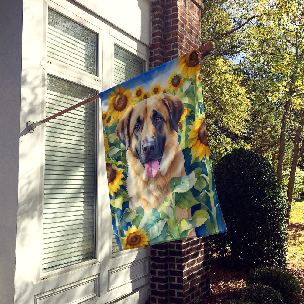 Anatolian Shepherd in Sunflowers House Flag-1